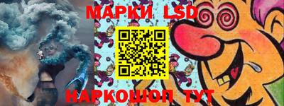 прущие грибы Будённовск