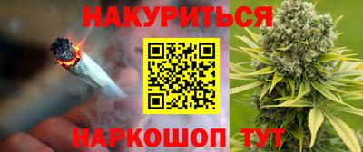 прущие грибы Будённовск