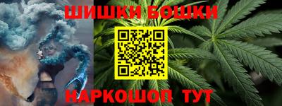 прущие грибы Будённовск