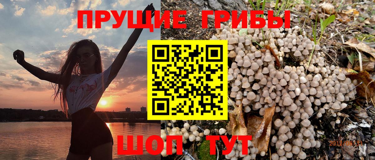 Псилоцибиновые грибы ЛСД  Вход с VPN  Ревда 