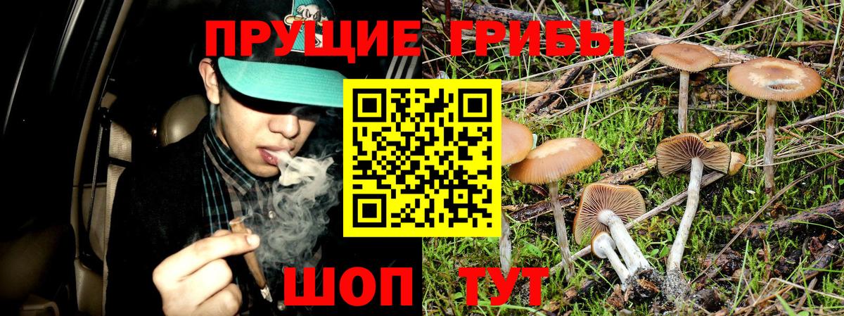 Галлюциногенные грибы прущие грибы Ревда